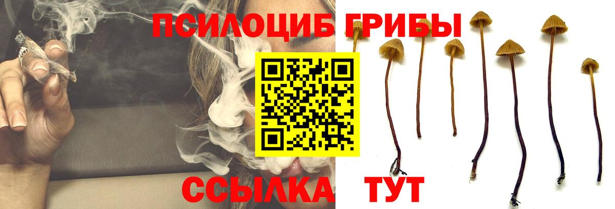 Псилоцибиновые грибы прущие грибы  Псилоцибиновые грибы ЛСД  Вход с VPN  наркошоп  Мелеуз 